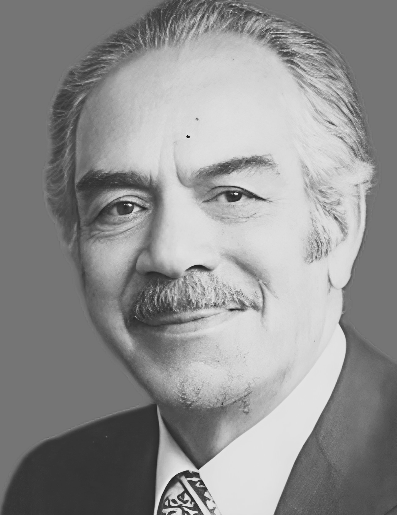 محمدحسین مجاهد